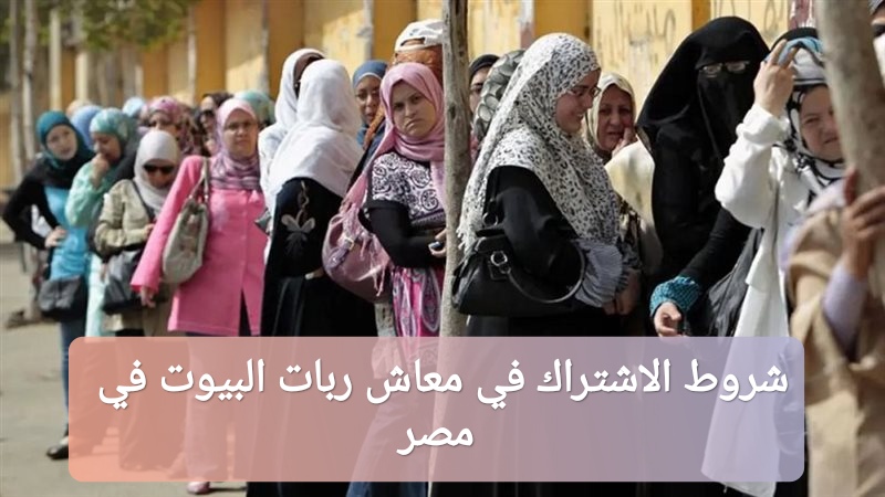 شروط الاشتراك في معاش ربات البيوت في مصر