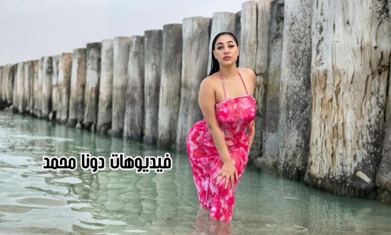 فيديوهات التيك توكر دونا محمد